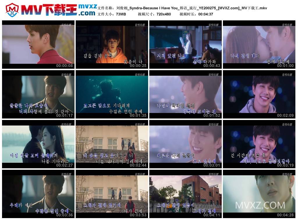 刘俊相_Syndra-Because I Have You_韩语_流行_YE200275